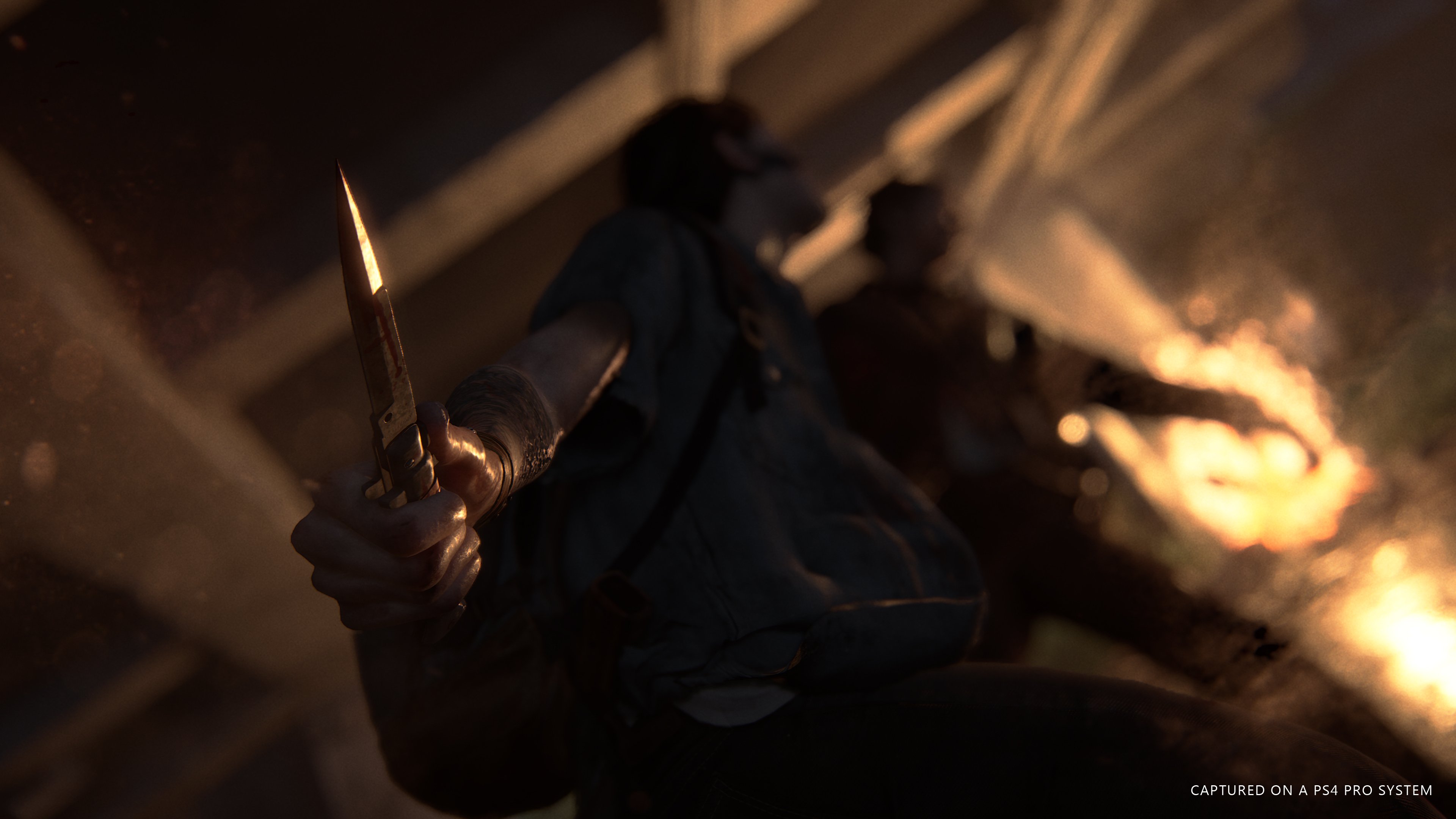 The Last of Us: Parte II - Imagen 11